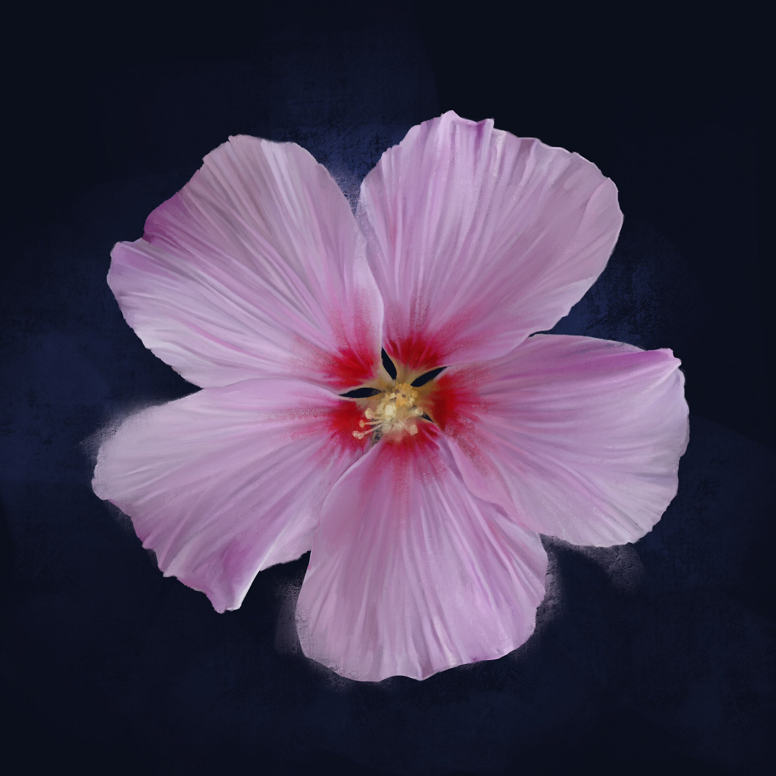 cherryblossom.jpg