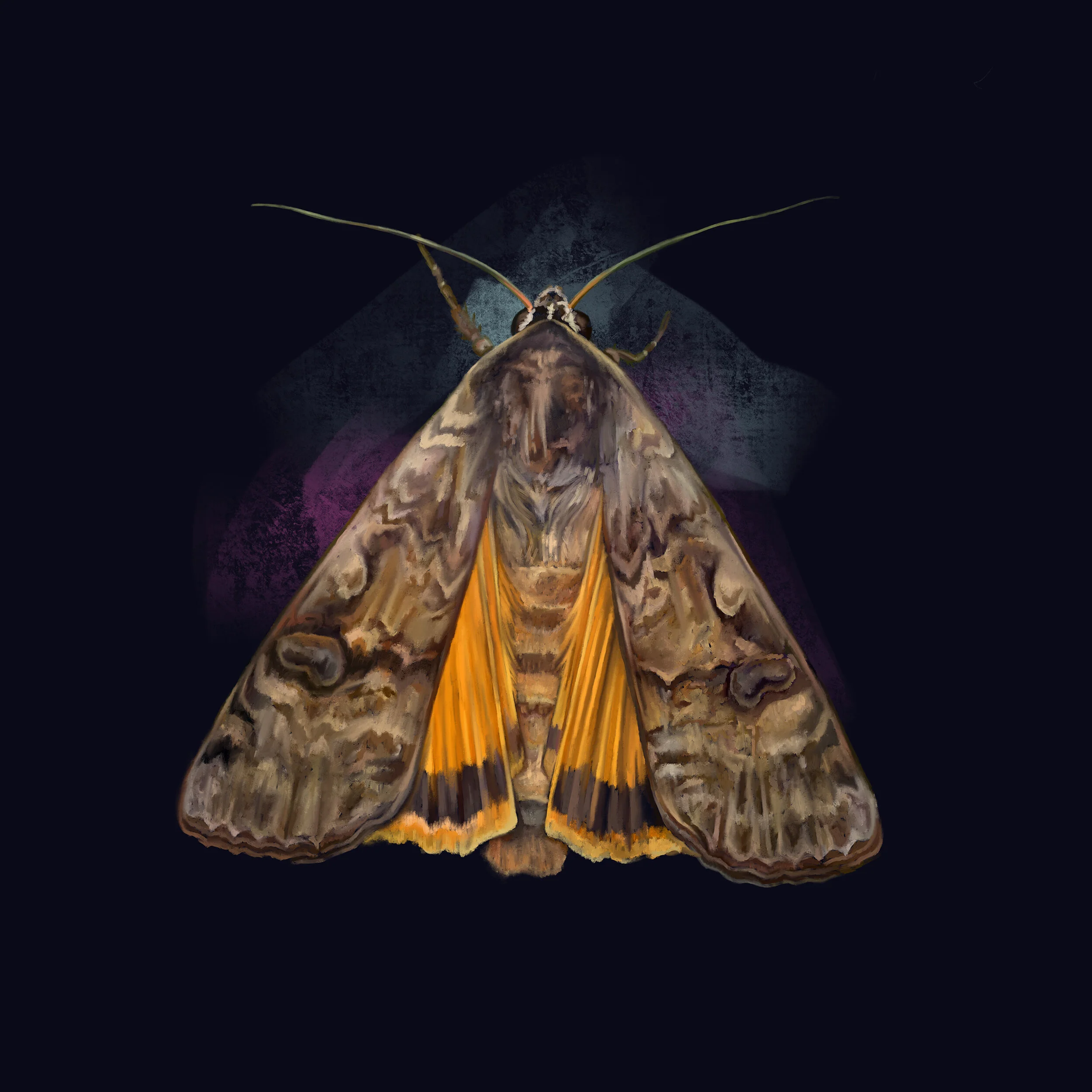 Mymothfriend.jpg