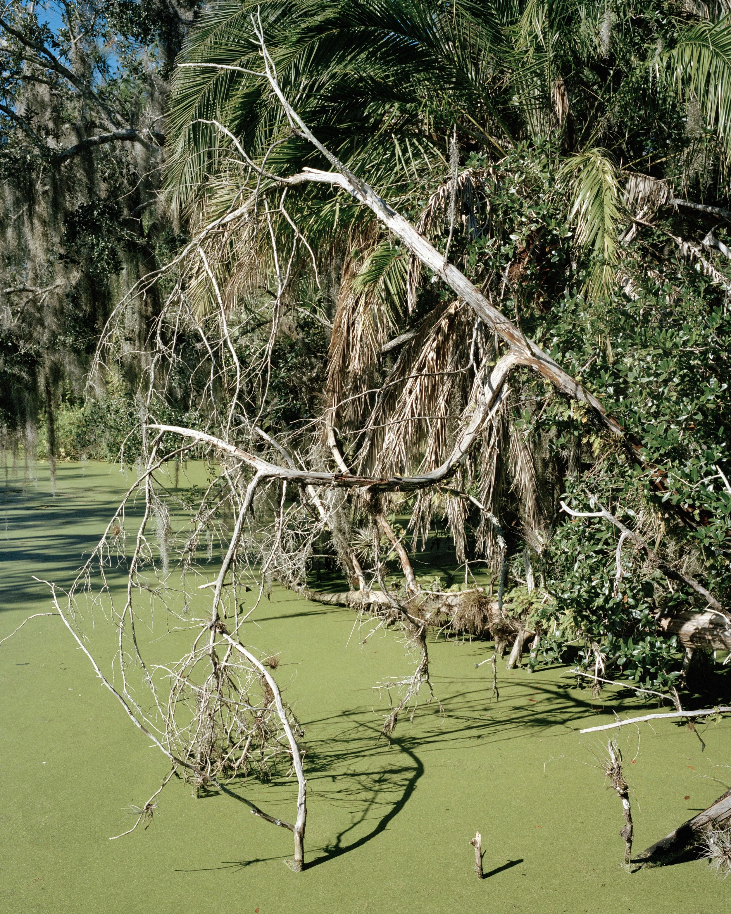 Portra2768-Edit.jpg
