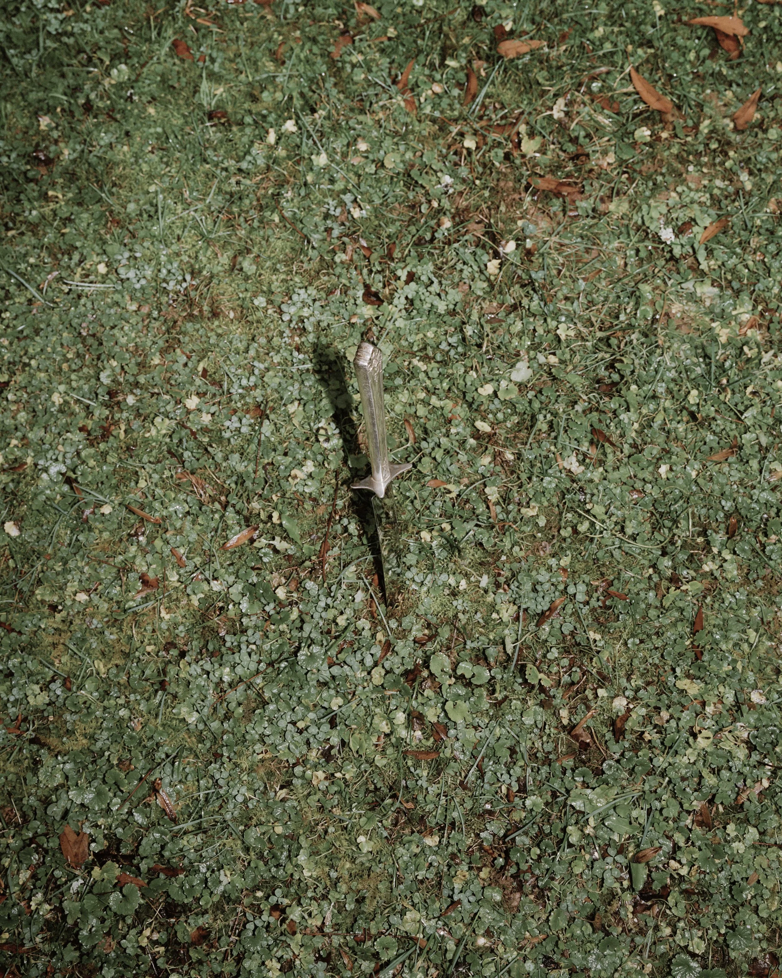 Portra1274-Edit.jpg