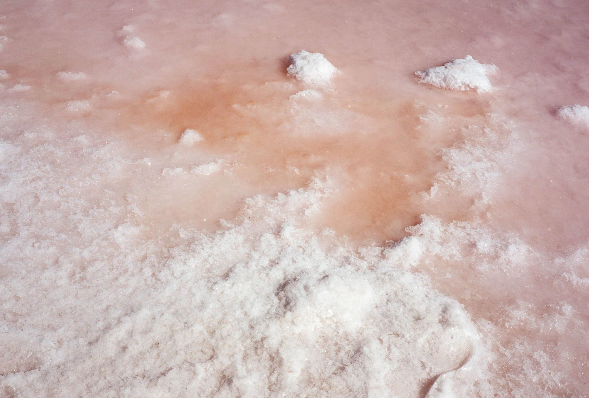 Portra5250.jpg