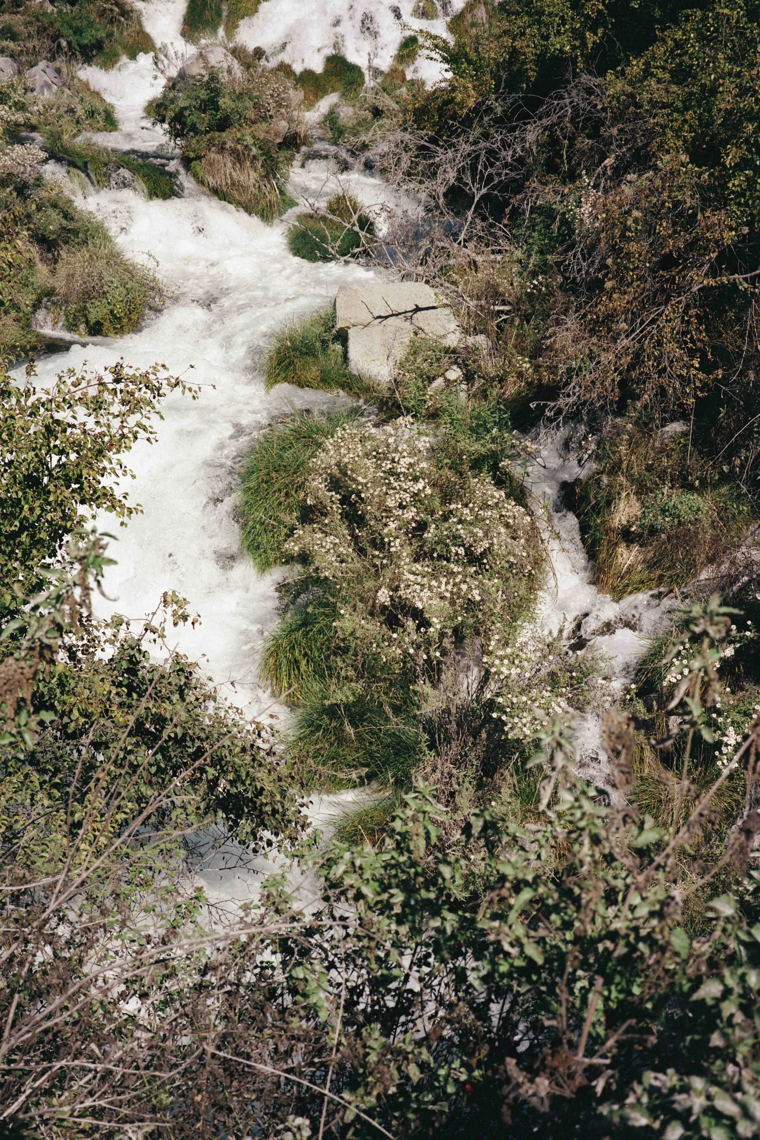 Portra5198.jpg