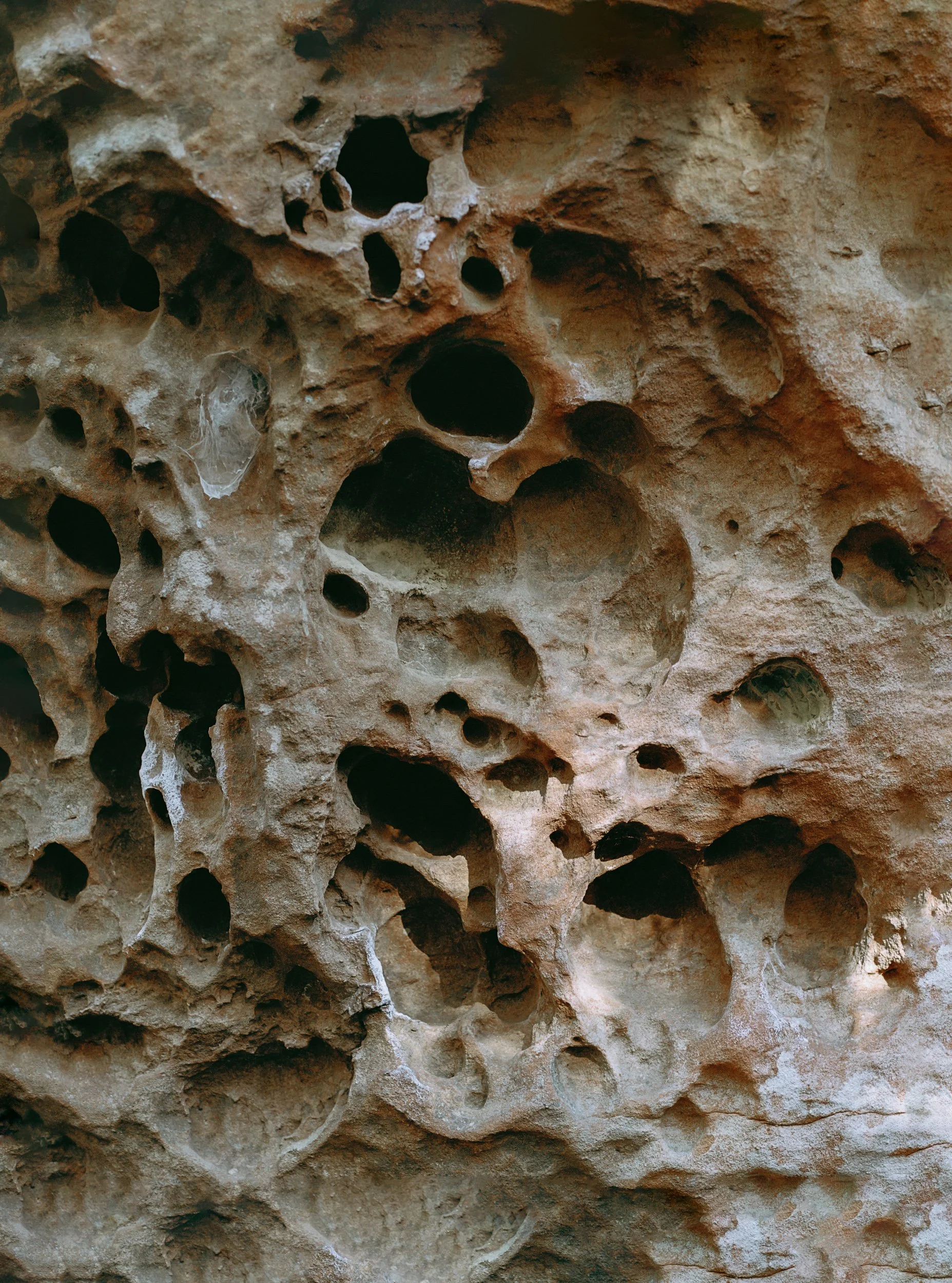 Portra1964b-Edit-Edit-2.jpg