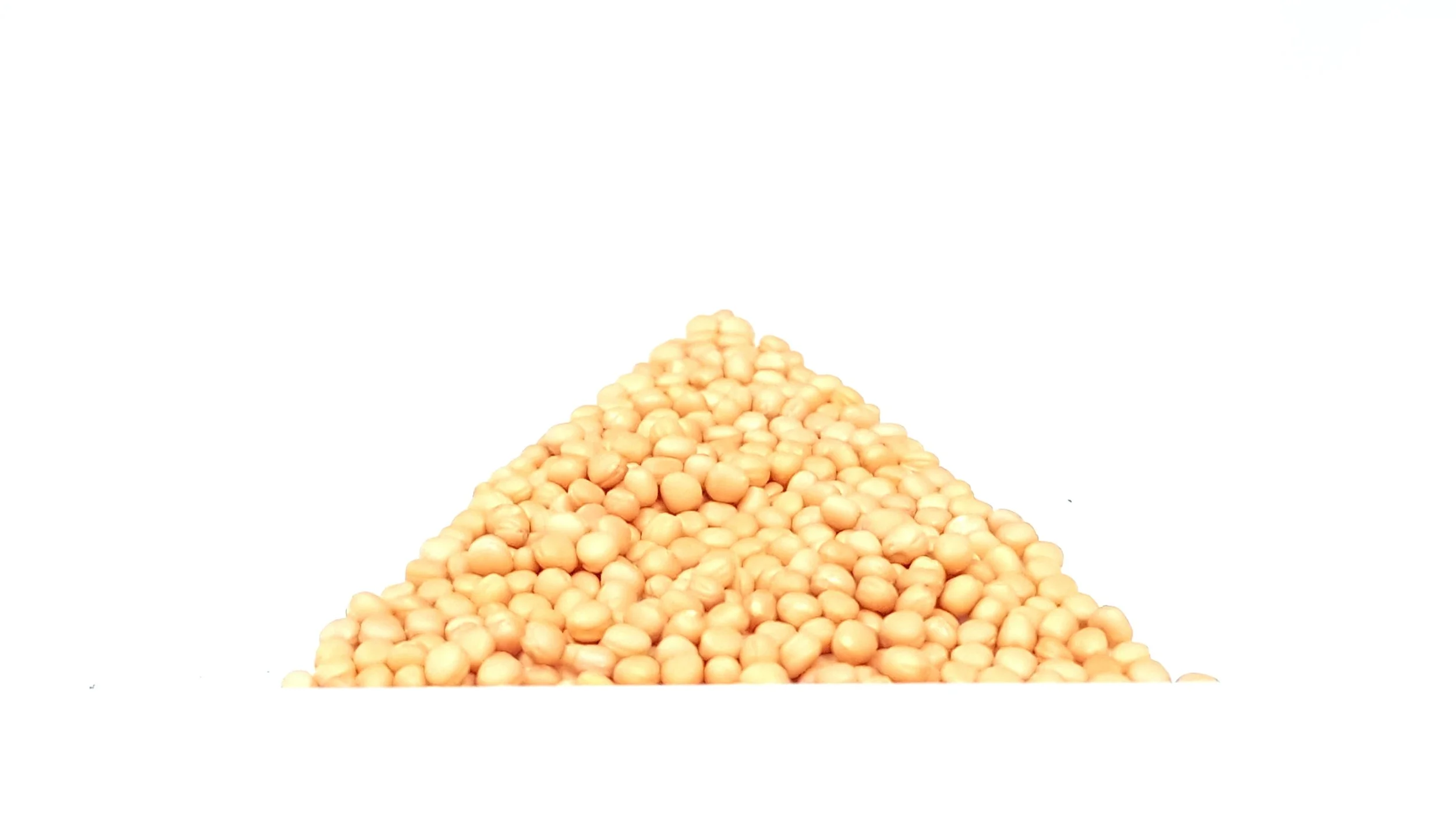 Yellow Mustard Seeds