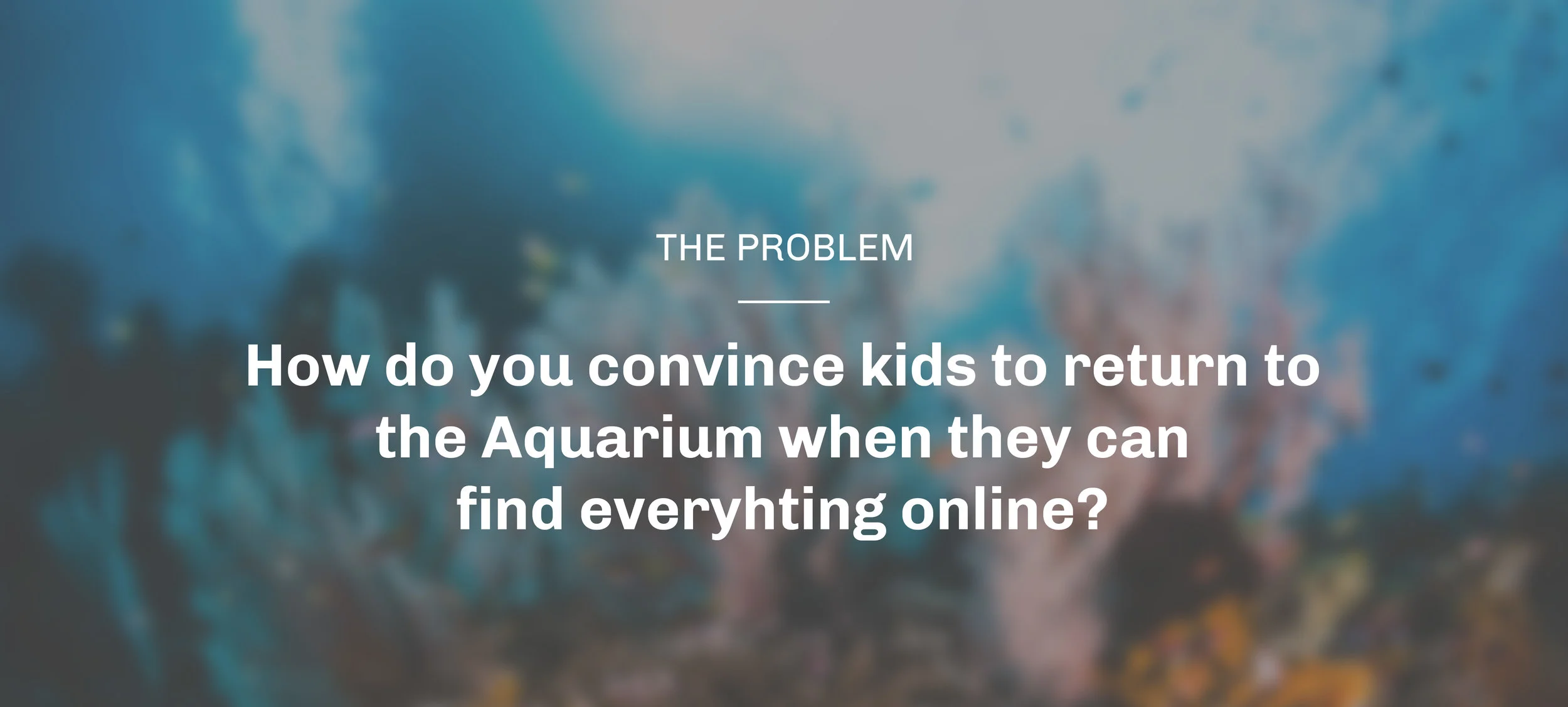 aquarium_question_top.jpg