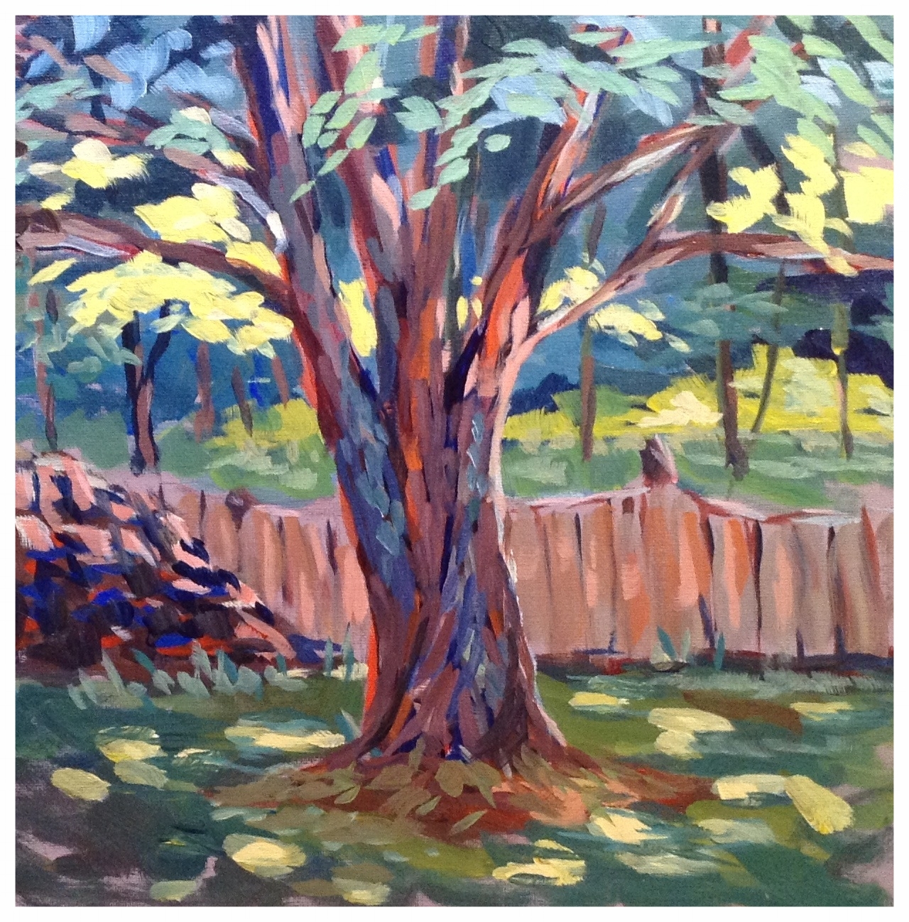 Tree in Virginia, acrylic, 12" x 12"