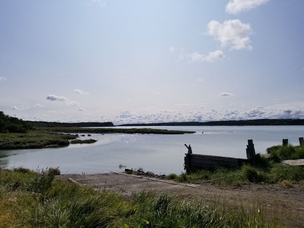 Resized_20190727_113850_3973.jpg