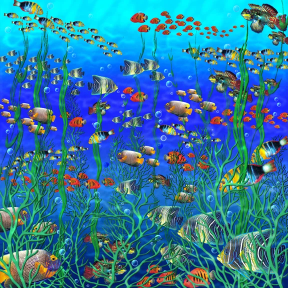 Fish