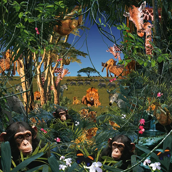 Animals