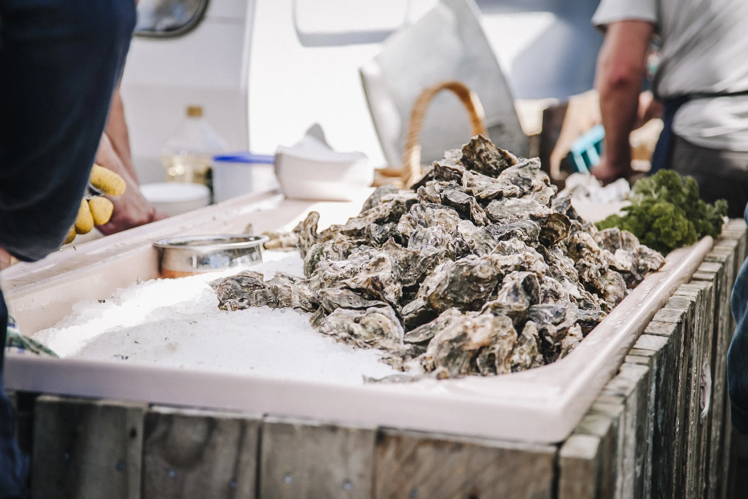 matakana_oyster_fest_002.jpg