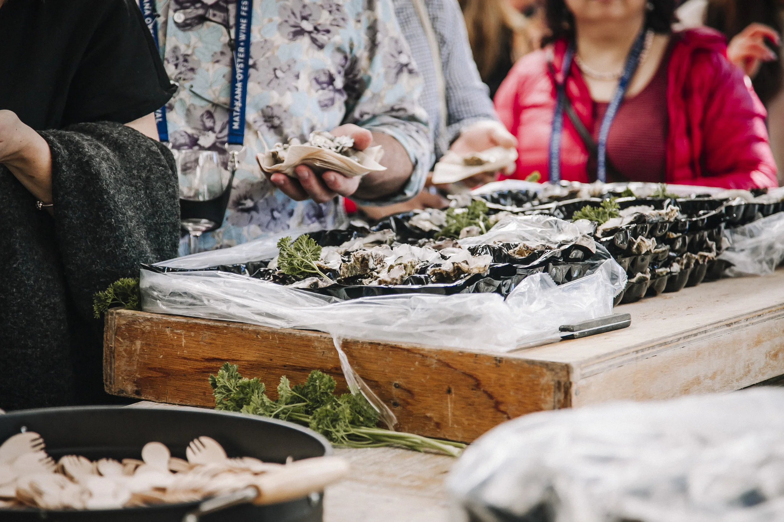 matakana_oyster_fest_022.jpg