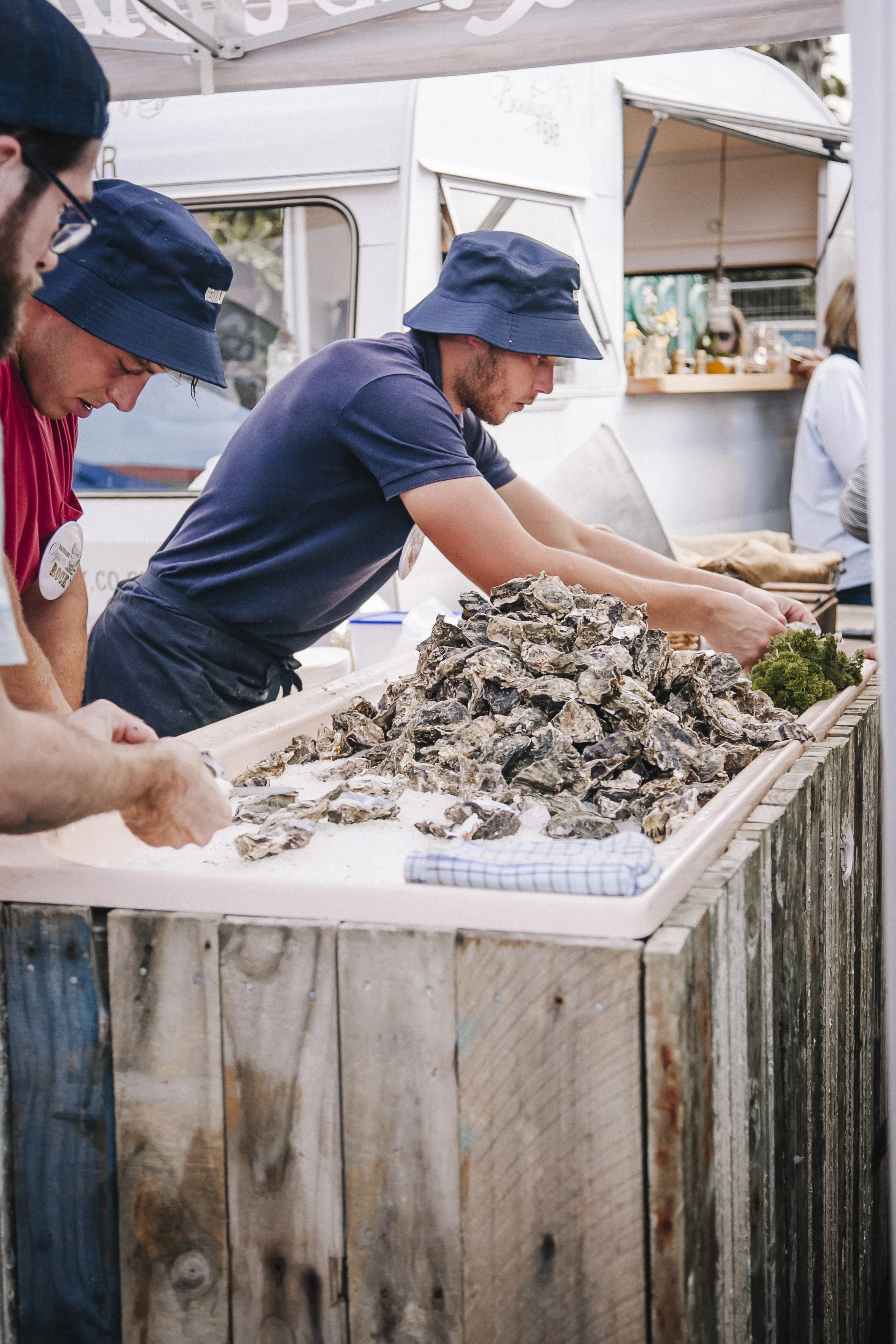 matakana_oyster_fest_090.jpg