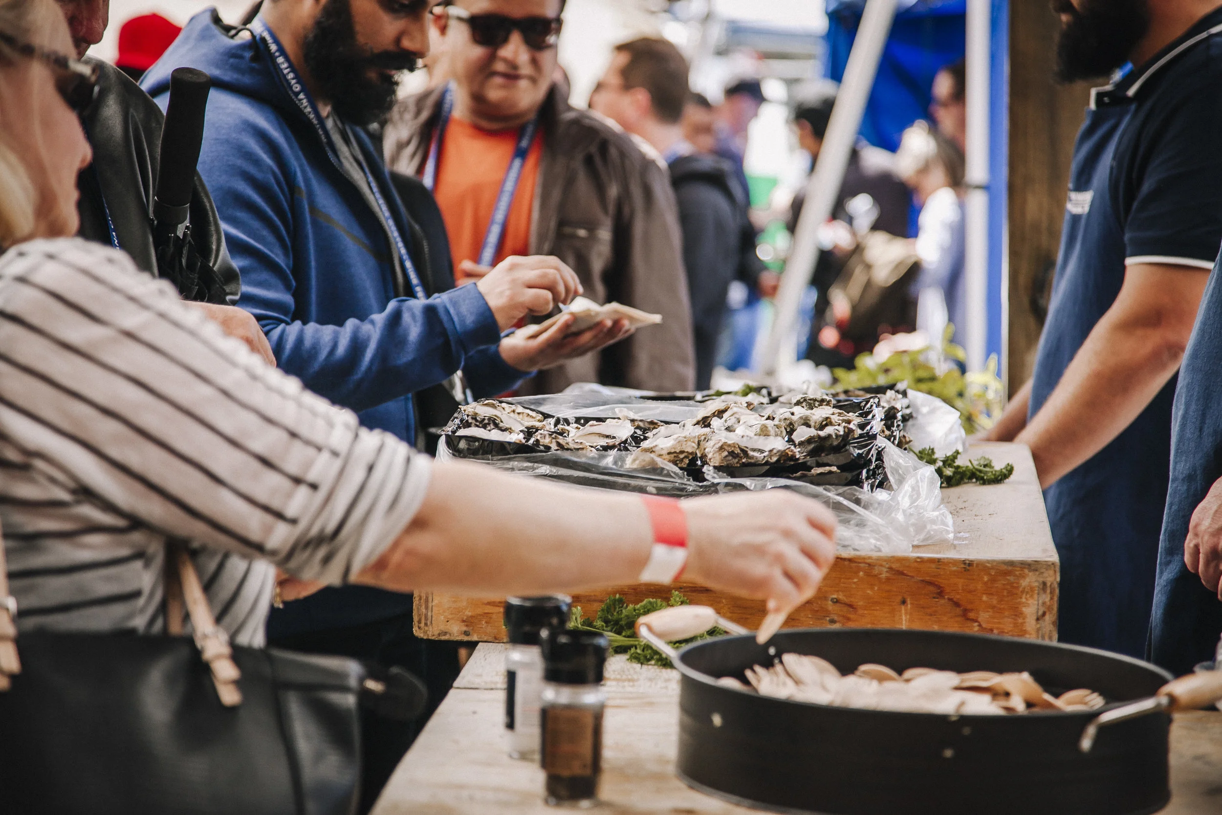 matakana_oyster_fest_101.jpg