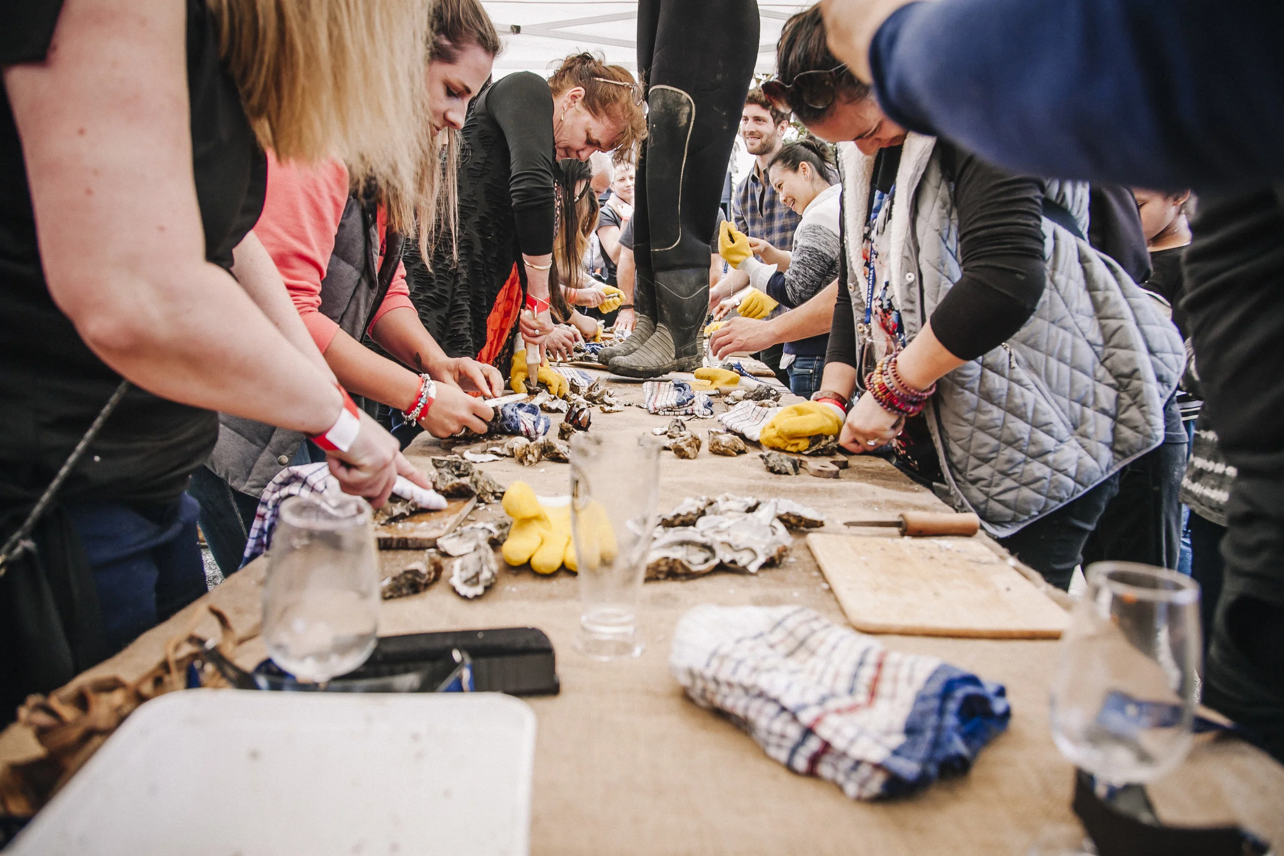 matakana_oyster_fest_115.jpg