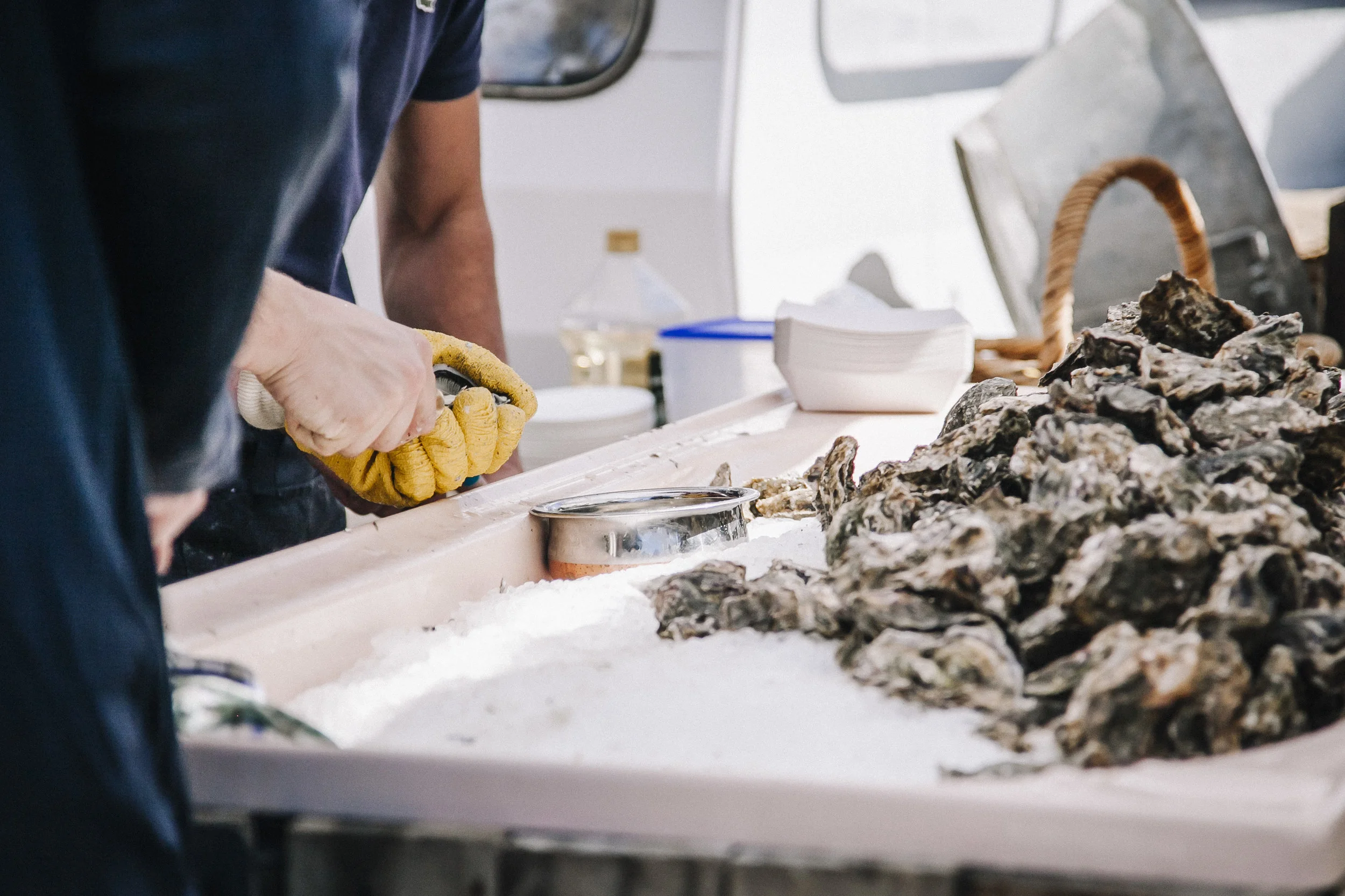matakana_oyster_fest_192.jpg