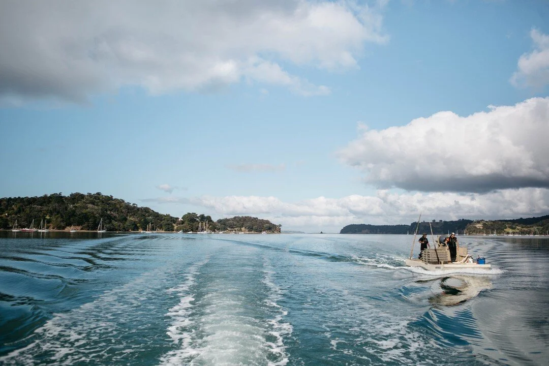 Rise + Shine Oyster Lovers ⚡ Today is THE DAY #oysterfestmatakana