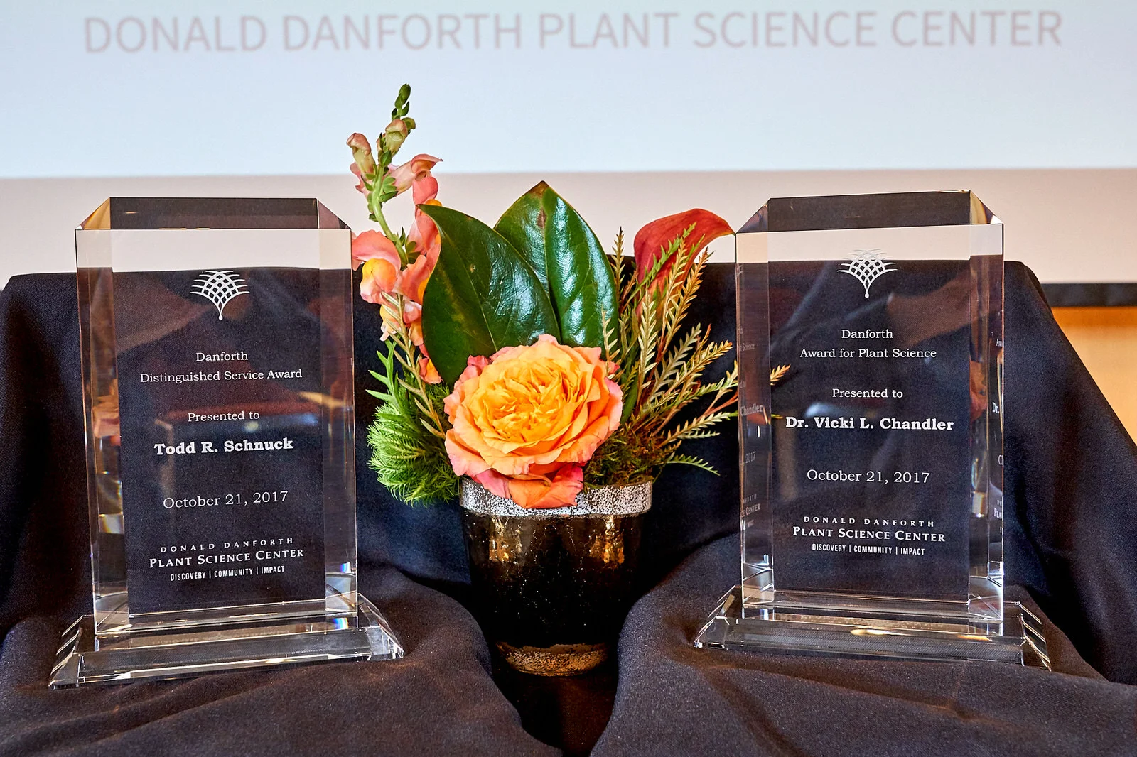 Plantasia2017_019.jpg