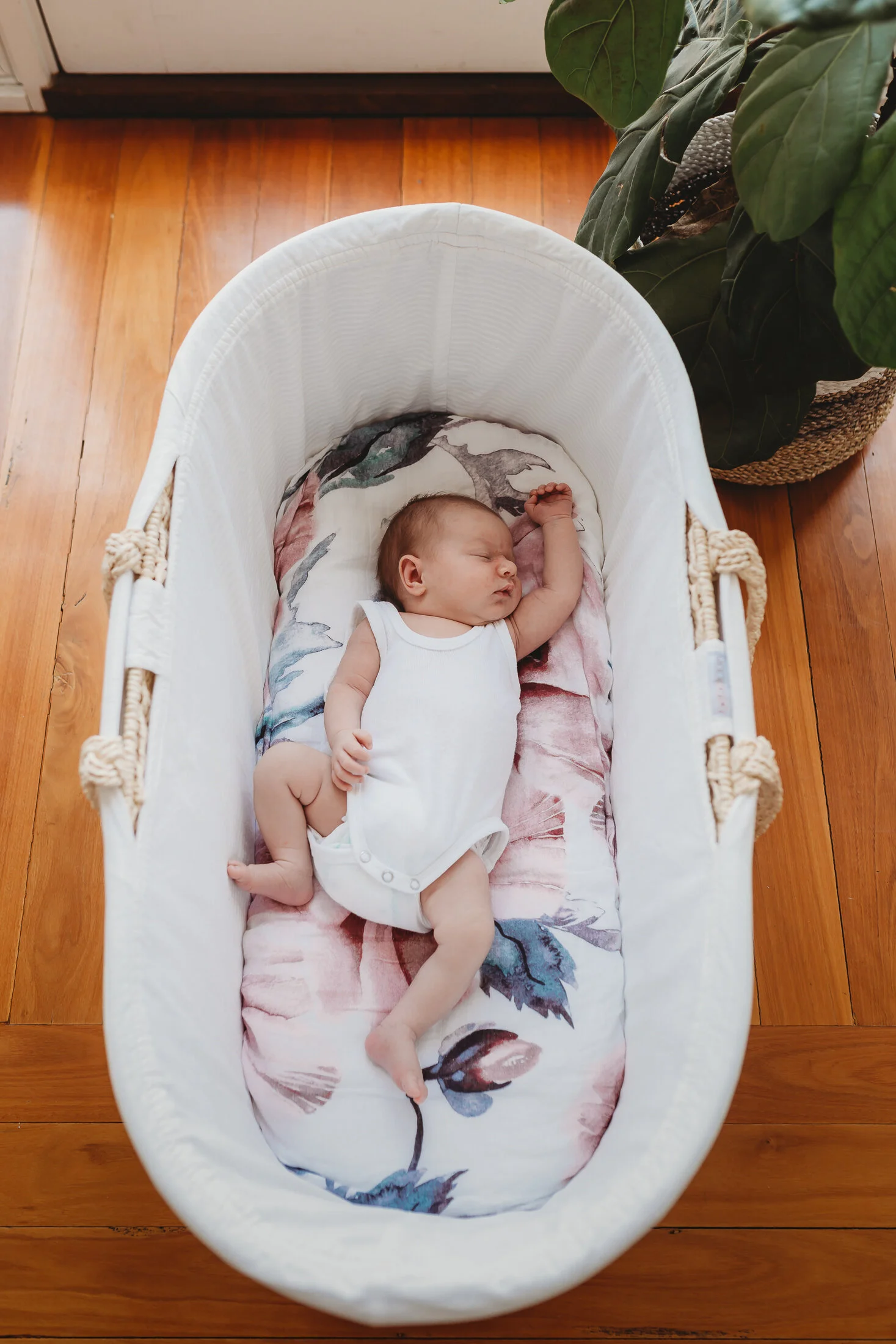 Eliza-3.jpg