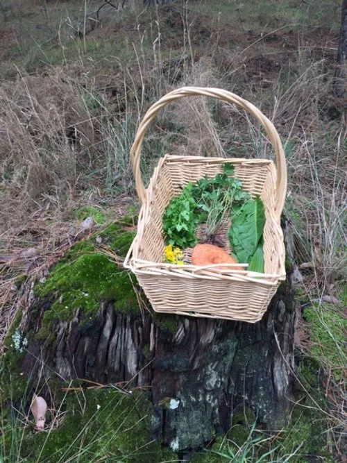 Foraging basket.JPG