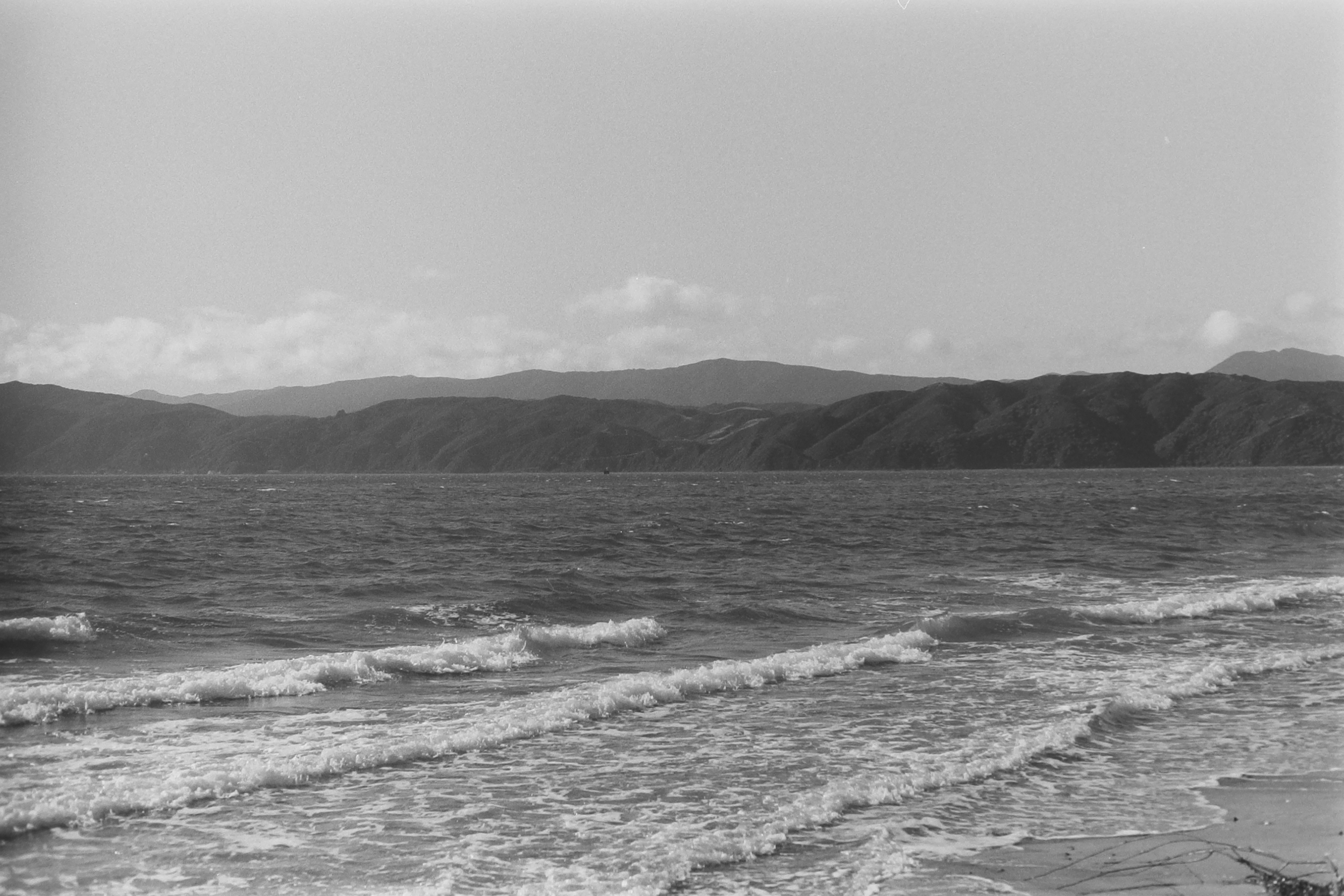 P_Jun_2026.El-Seascape-Landscape.png