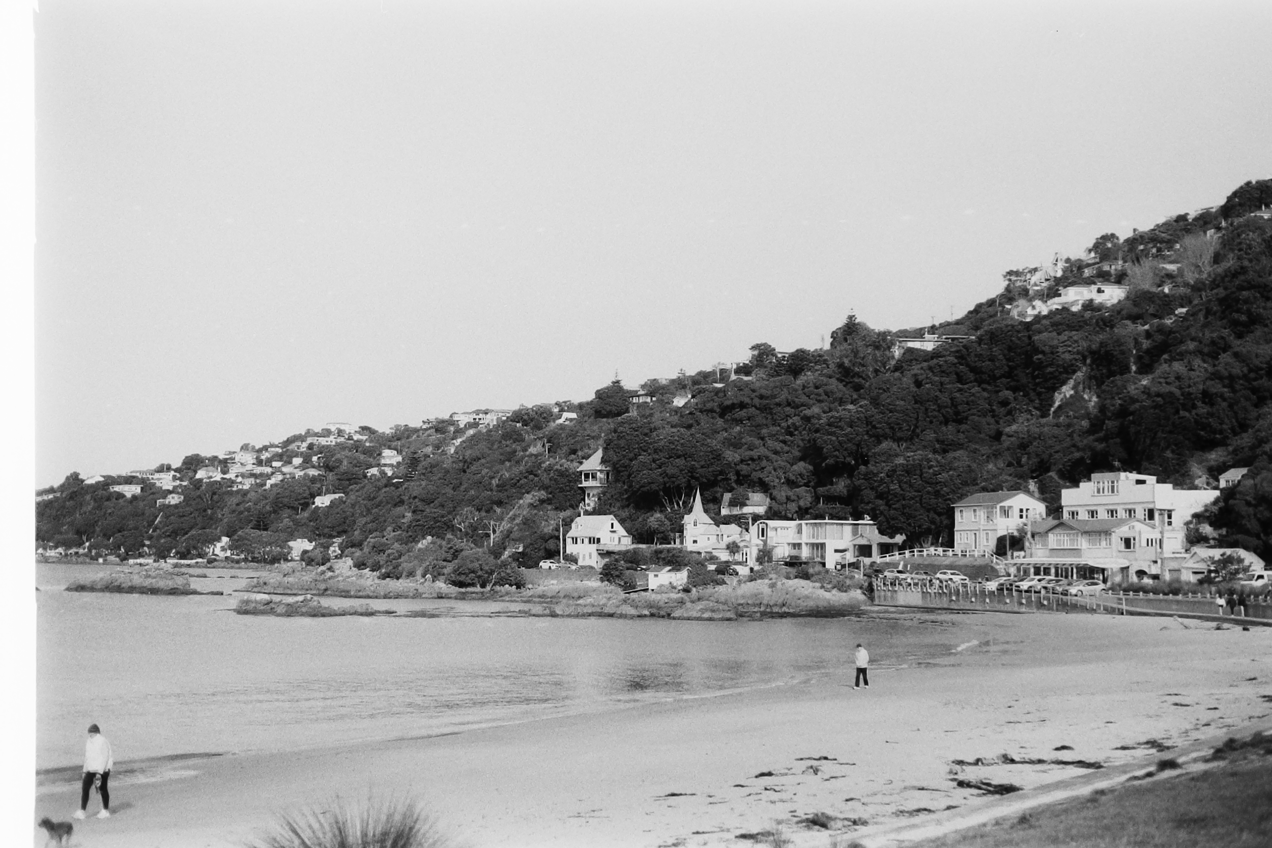 P_Jun_2026.El-Shoreline-Houses.png