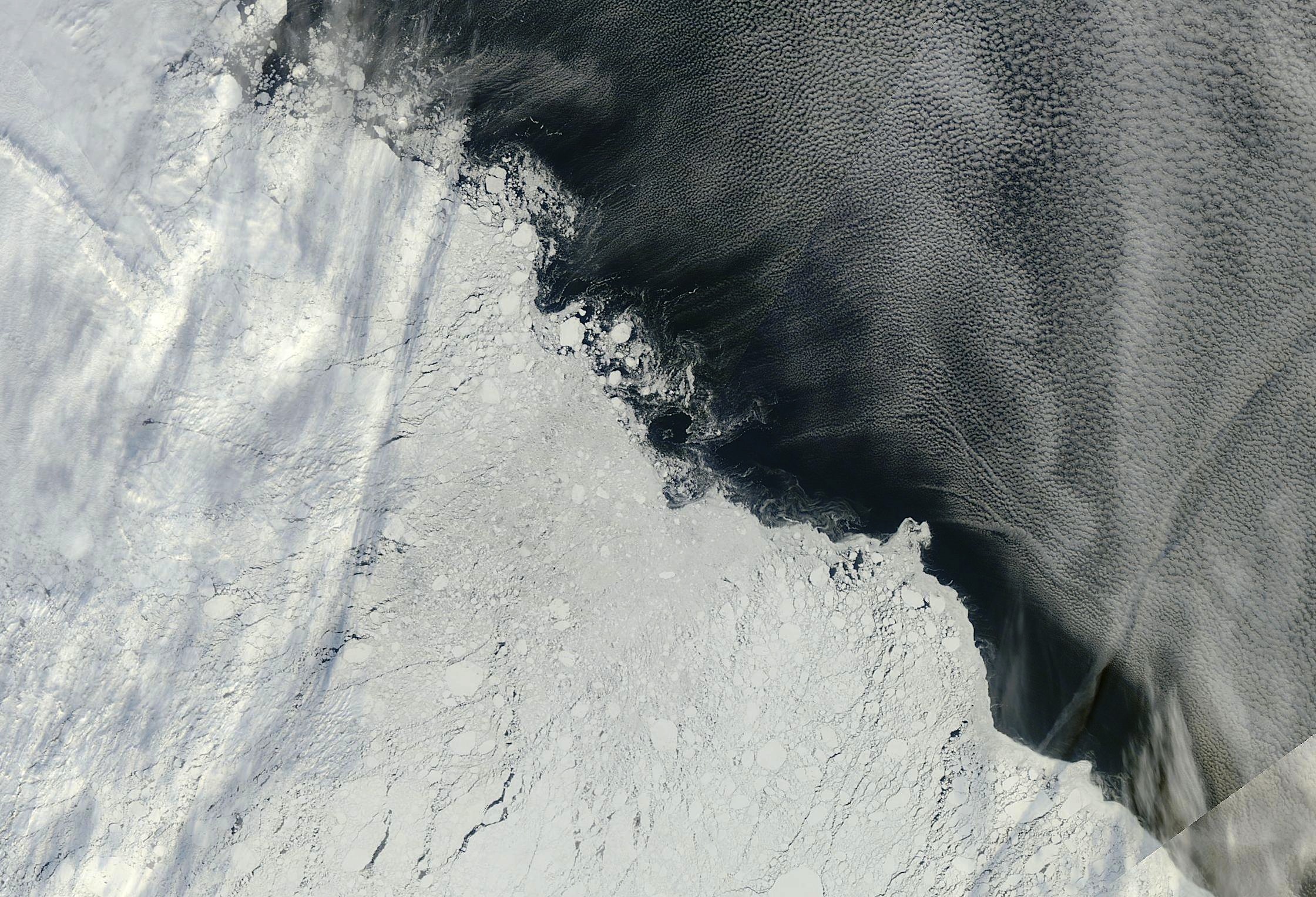 arcseaicesept13_2013_terra.jpg