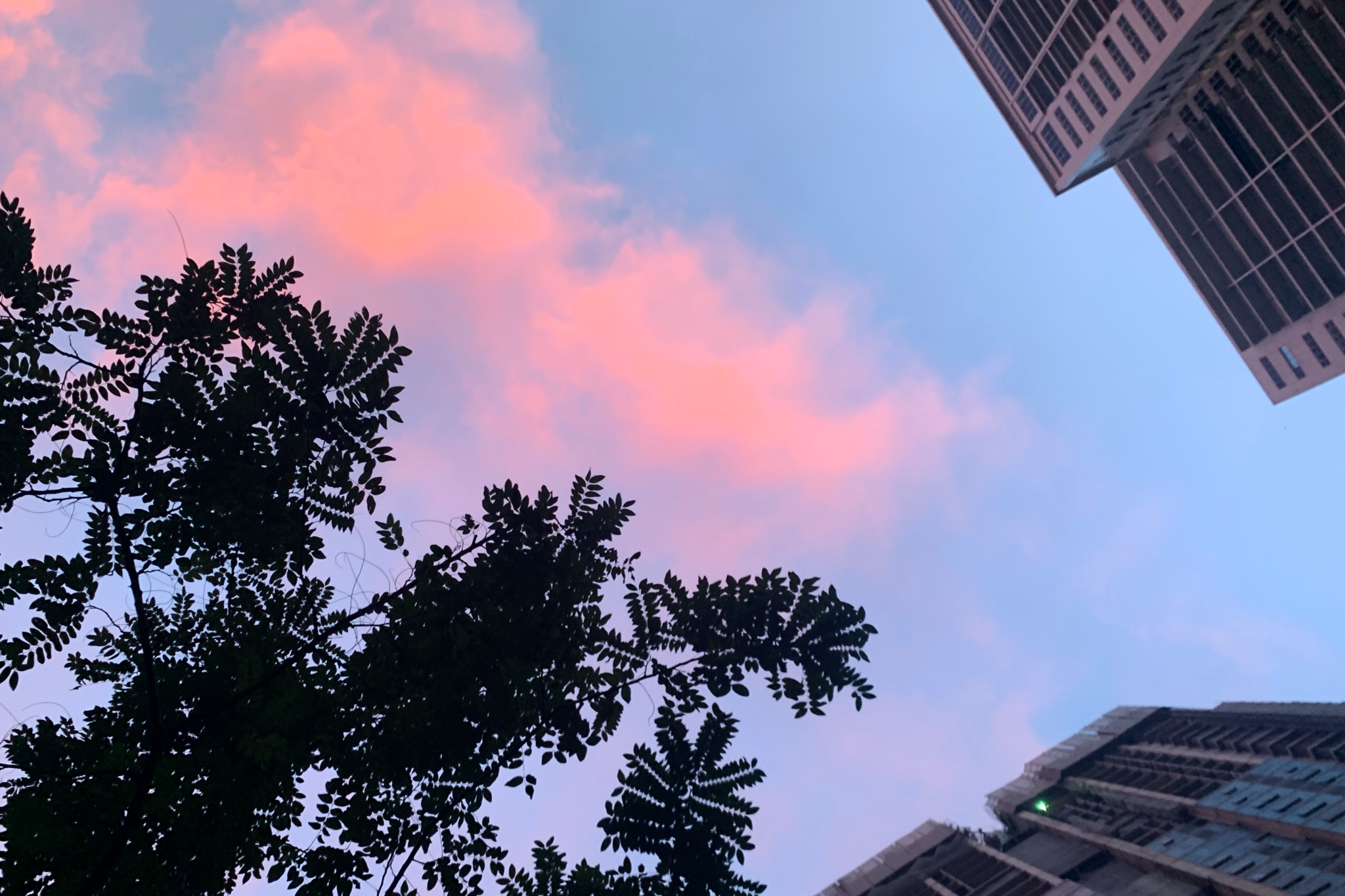 Coping through Nesting 