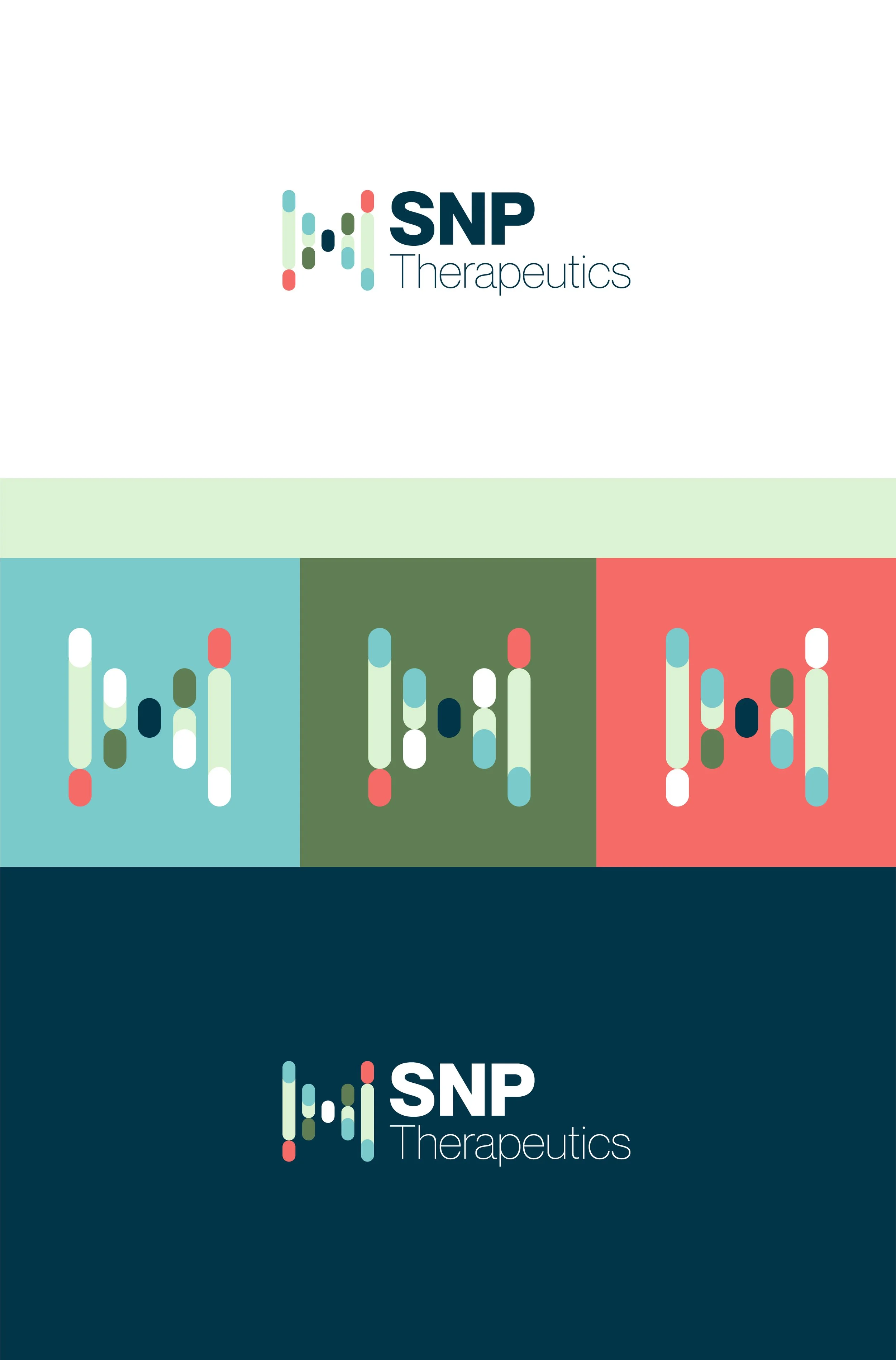 snp-02.jpg