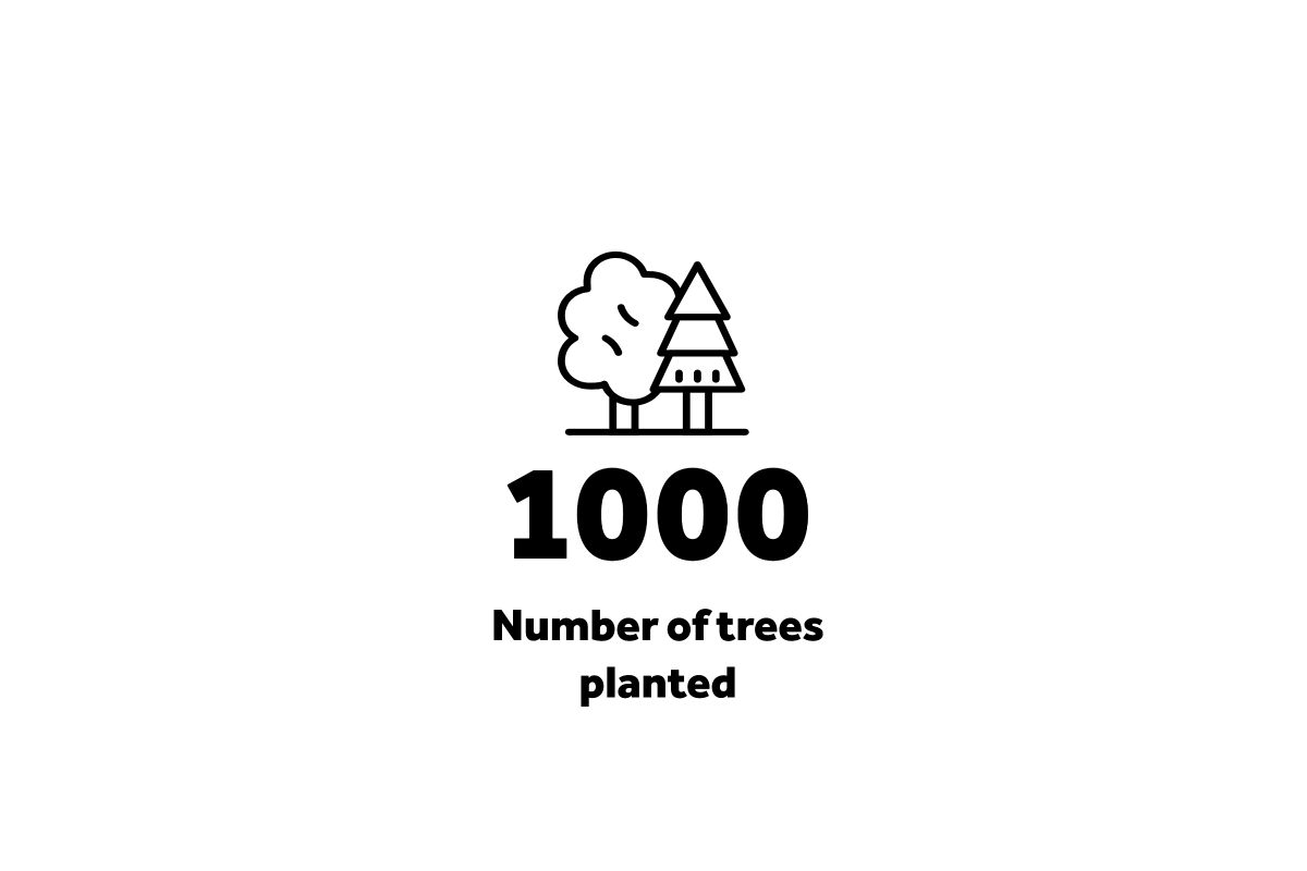 tree5feb19.png