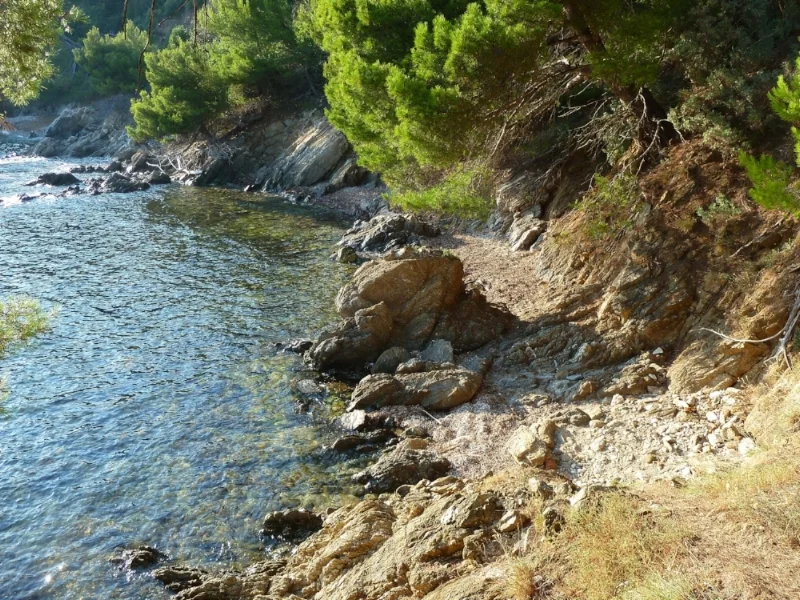 littoral 034.jpg