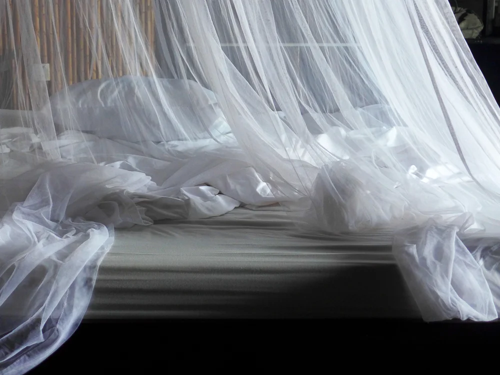 And the mosquito nets worked quite well.