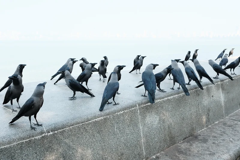 Like here, at Marine Drive, Mumbai´s waterfront boulevard, just around the corner from the hotel.