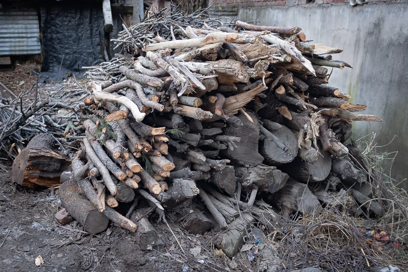 During winter Houses in Manali are heated with wood, creating a rather bad air in town - I had to close the window of my room to keep out the fumes at night. Villagers are allowed to collect wood in the mountains, mostly pines and Himalayan Oak. Sin…