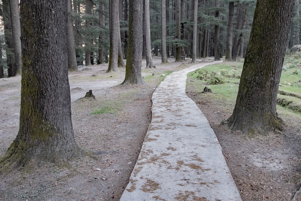 This protected forest - actually a tiny national park - separates (or connects) Old Manali from New Manali. You have to pay 20 Rp to walk through, but nobody cares if you don´t.