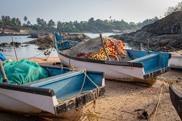 Goa-4.jpg