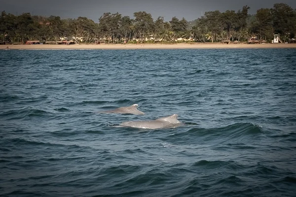 Goa-58.jpg