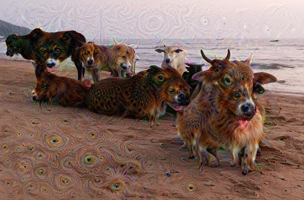 1d115a571c0aeb519c7ff06b8e58e464406a8077.jpg