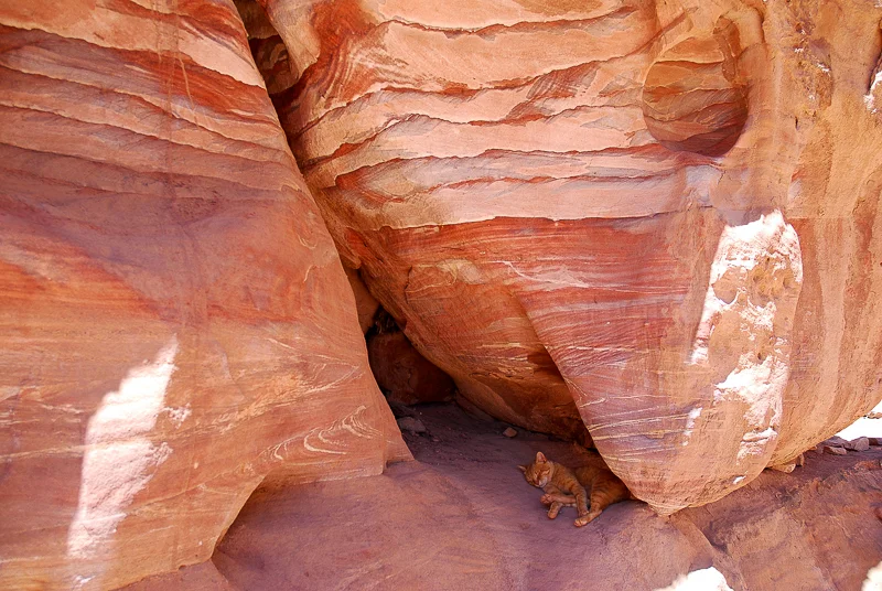 petra-11.jpg
