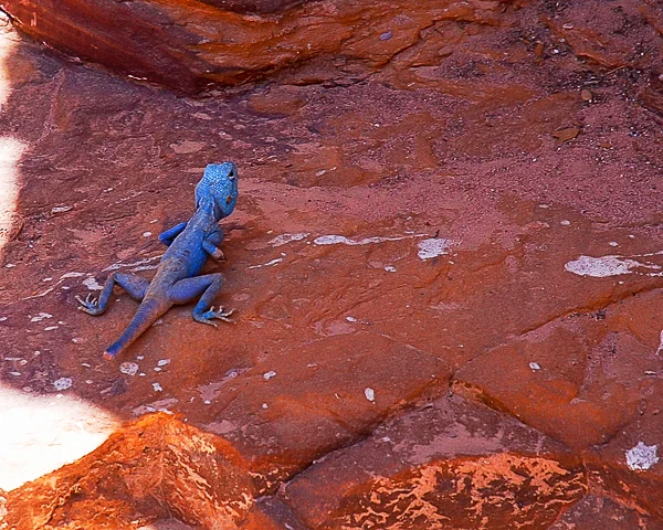 petra-13.jpg