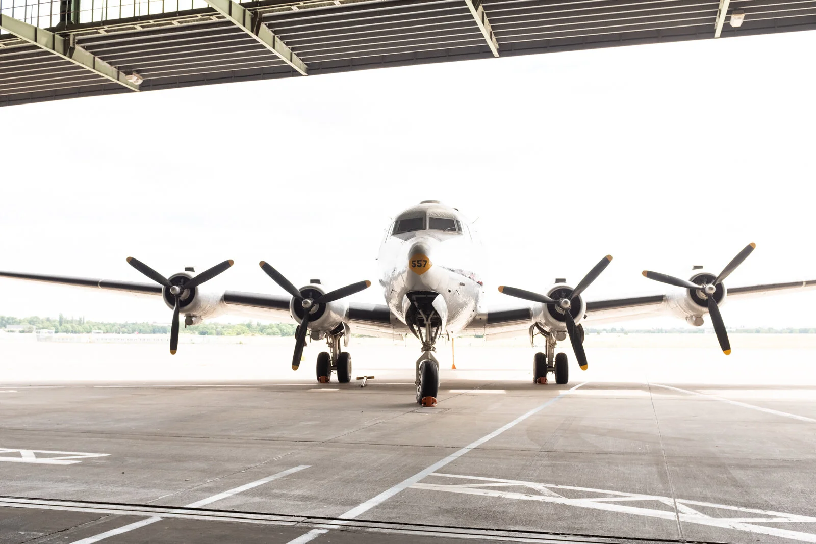 THF-53.jpg