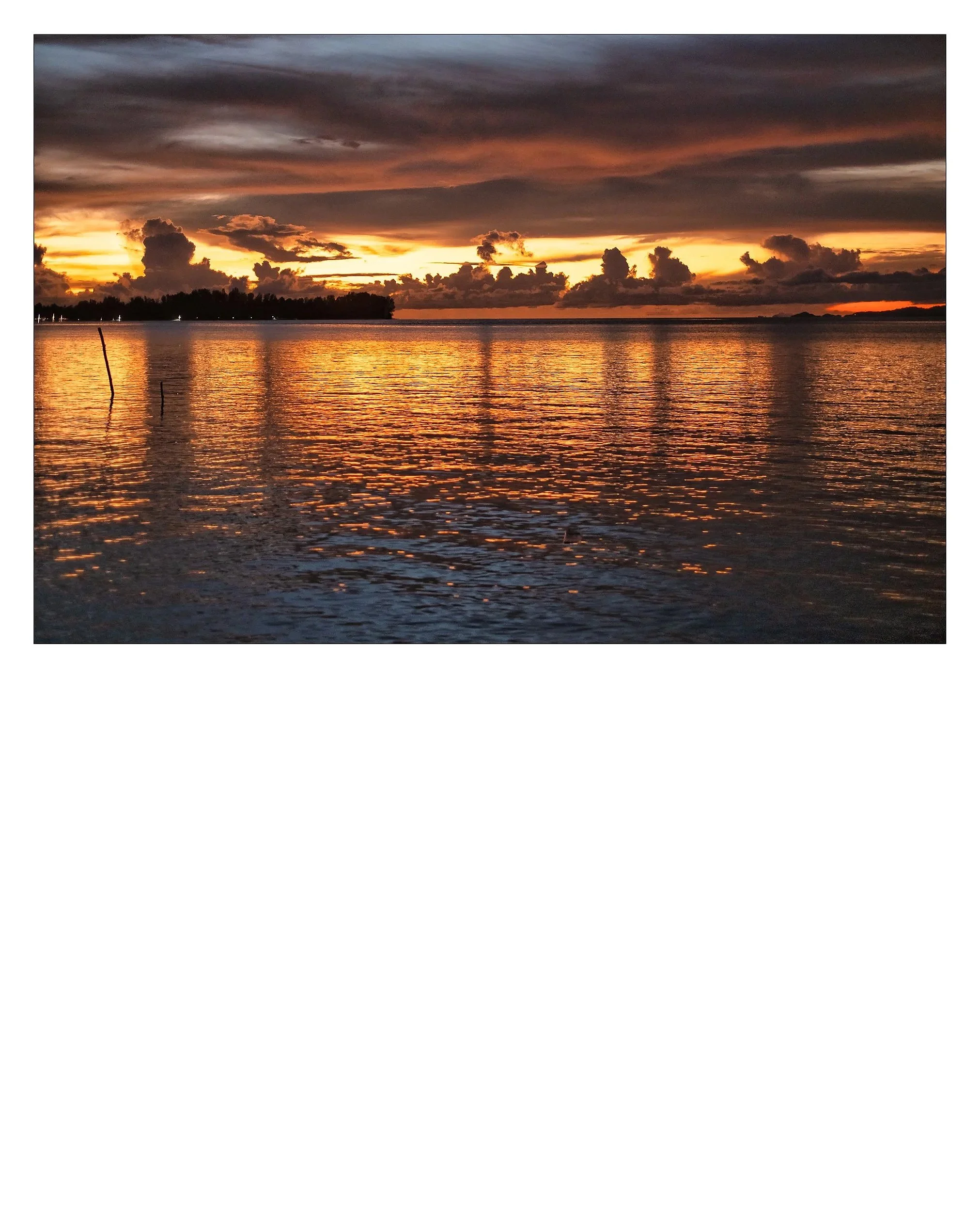 merpati-7.jpg
