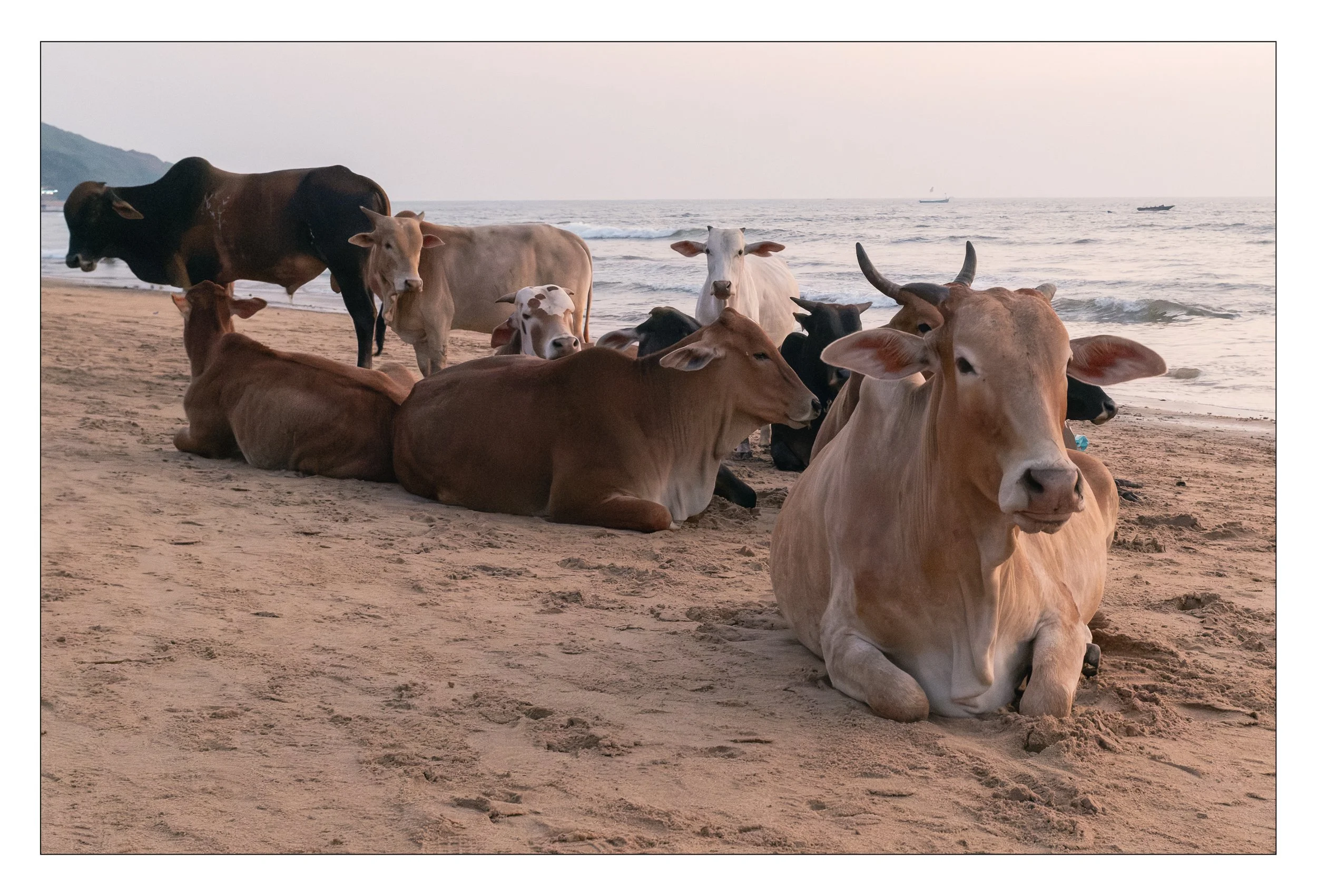India-11.jpg