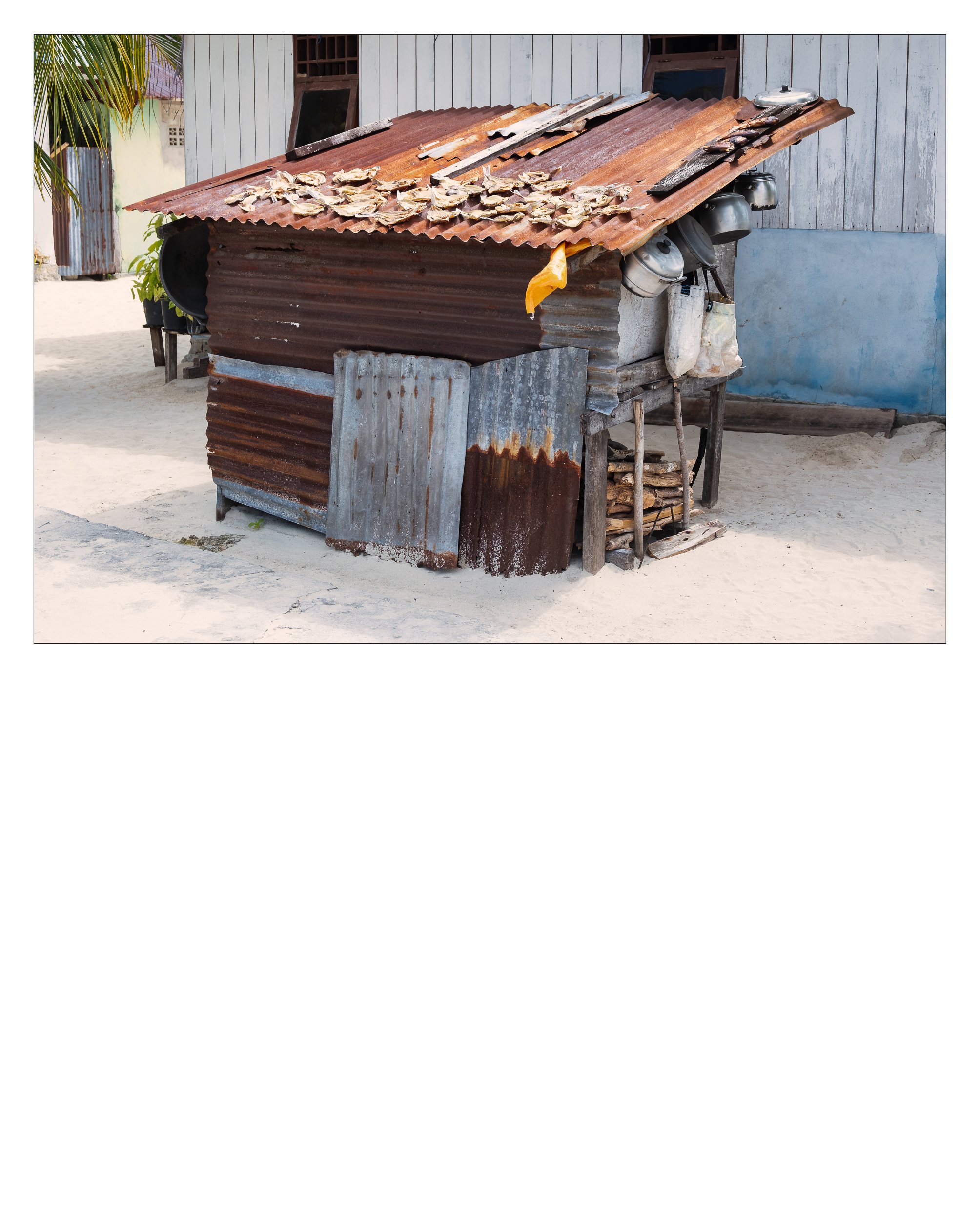 Ayau-67.jpg