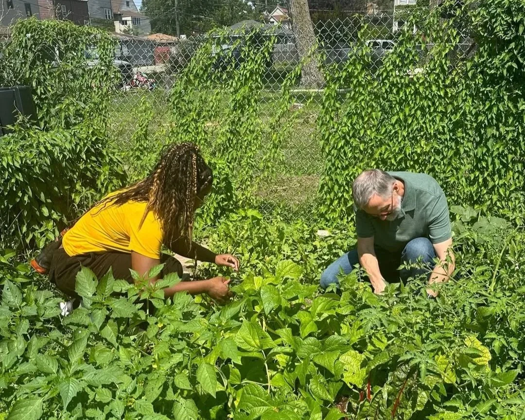 Garden Harvest