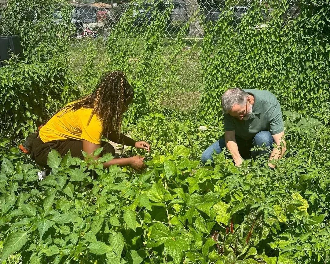 Garden Harvest