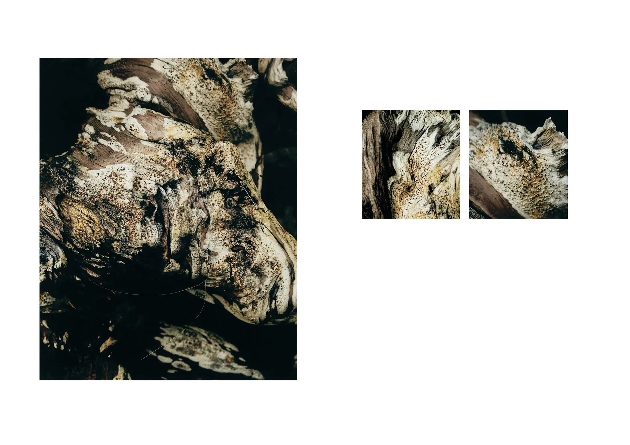Frame 28.jpg