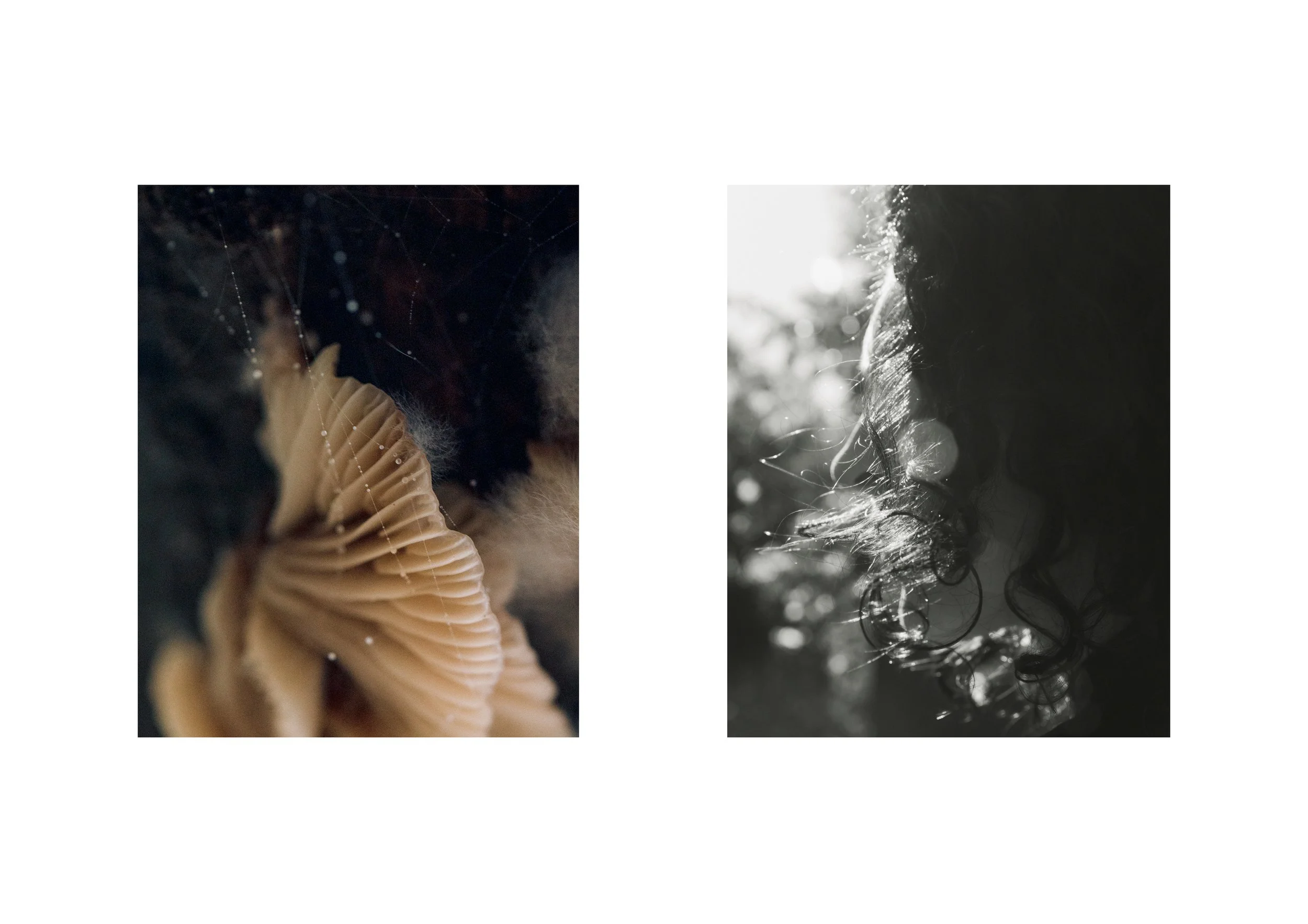 Frame 32.jpg
