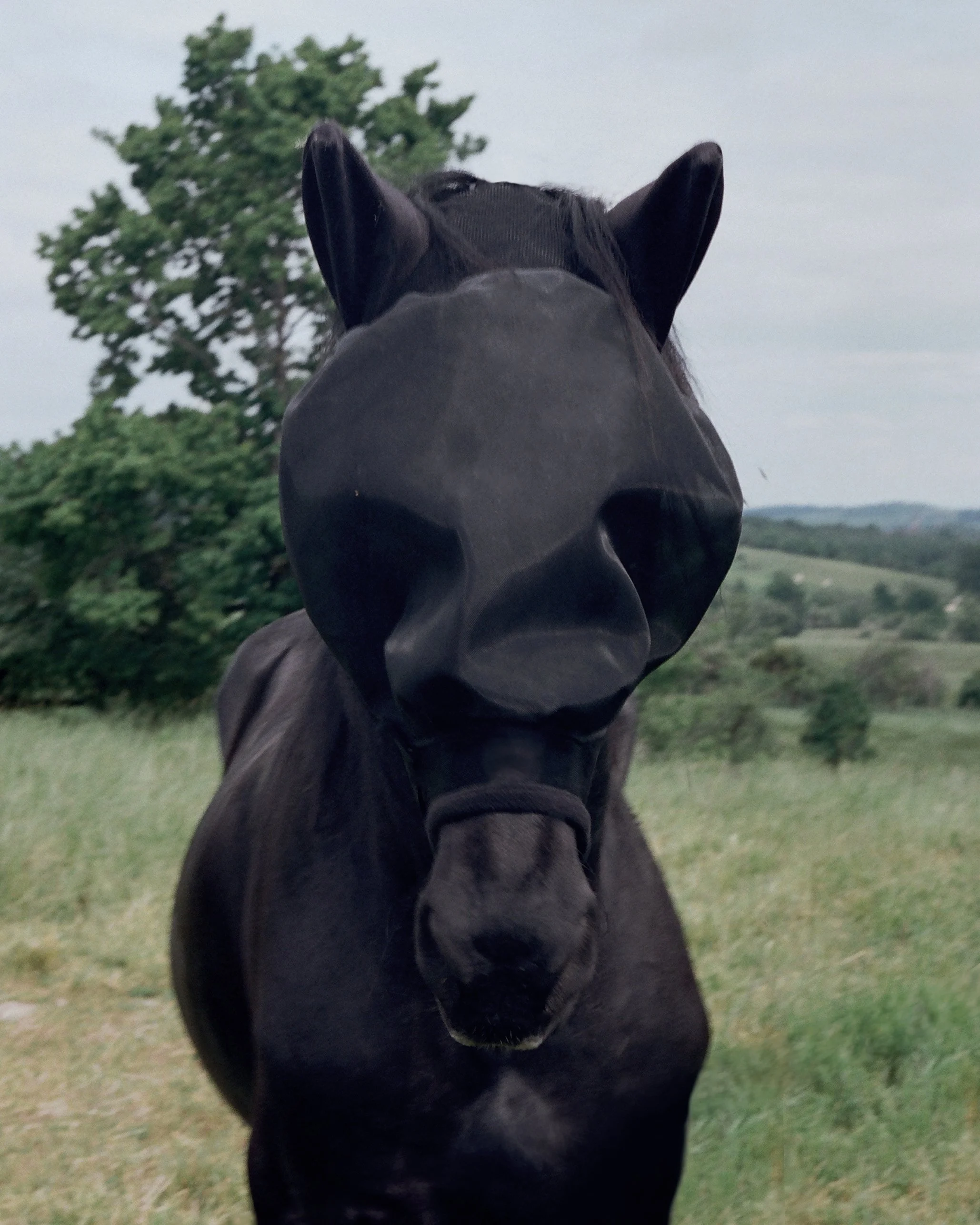 Frame 164.jpg