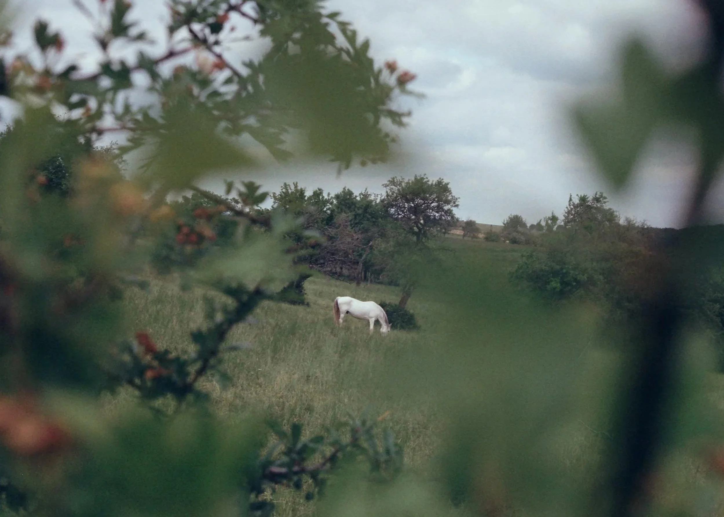 Frame 152.jpg