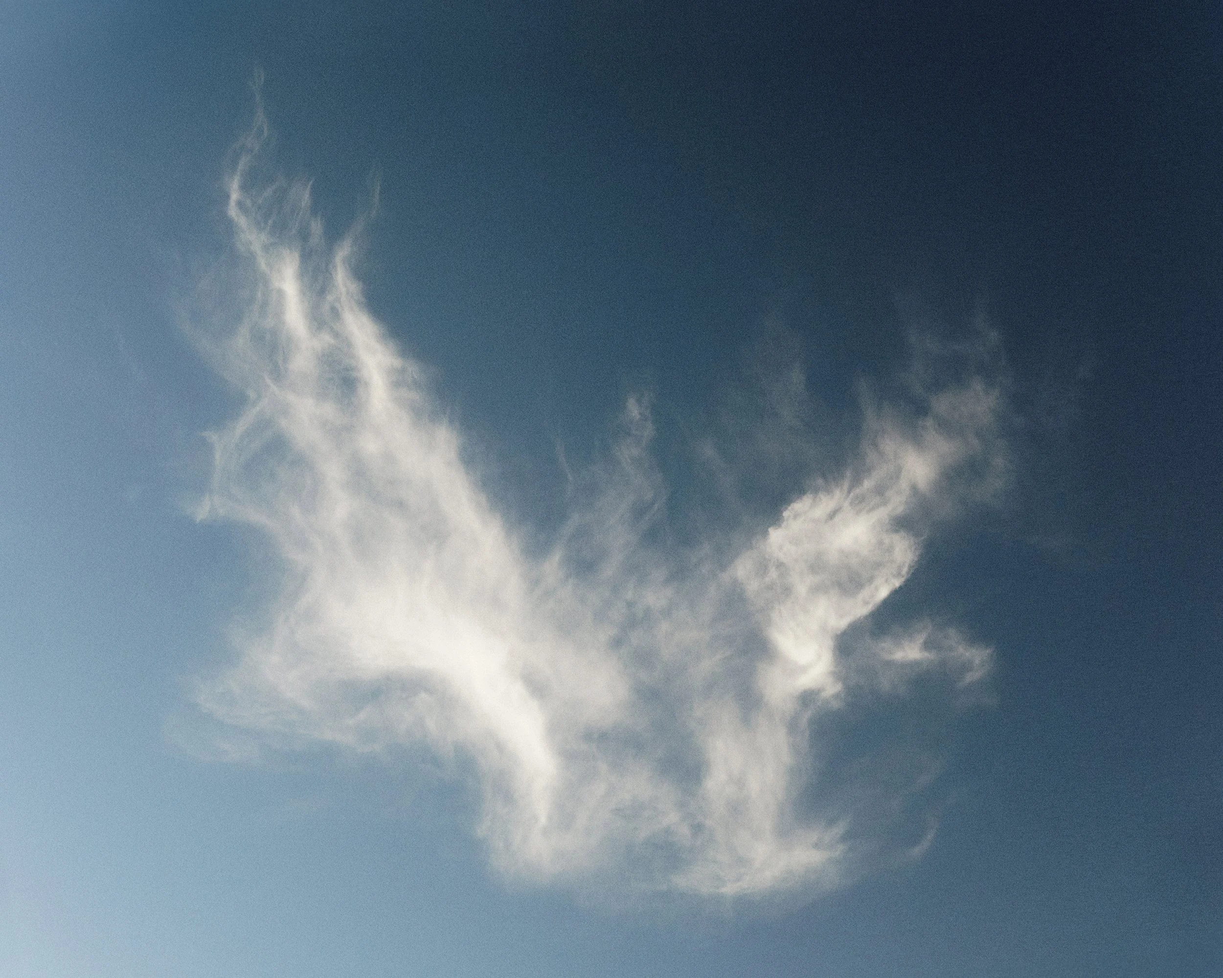 Frame 181.jpg